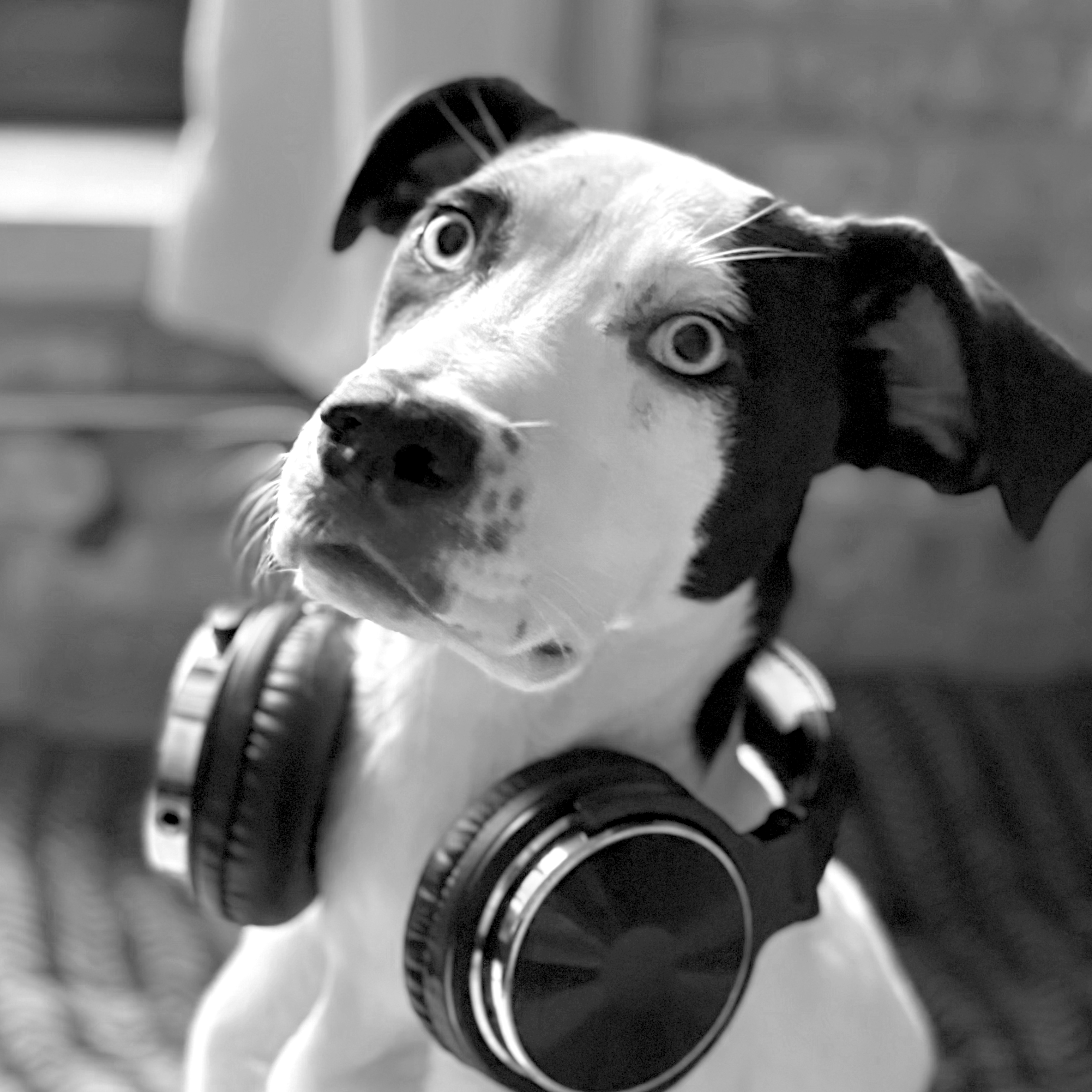 Charlie, Head of Barketing at RIA Pulse